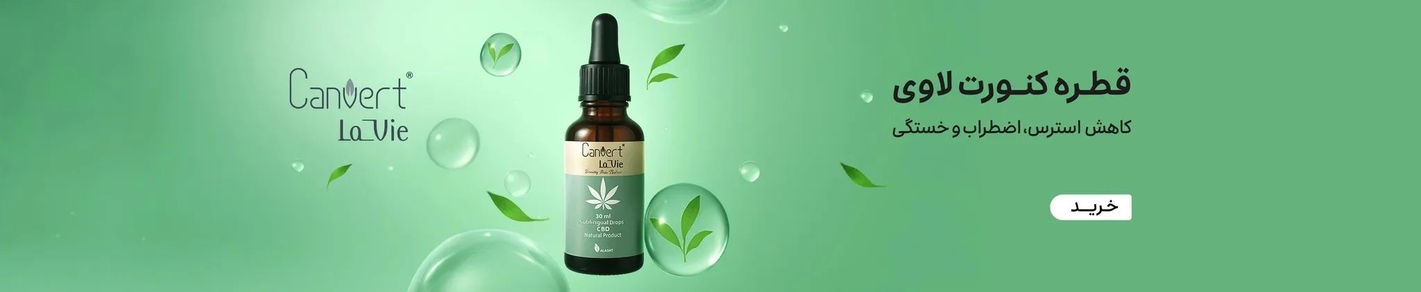 اسلاید یک قالب اسنپ